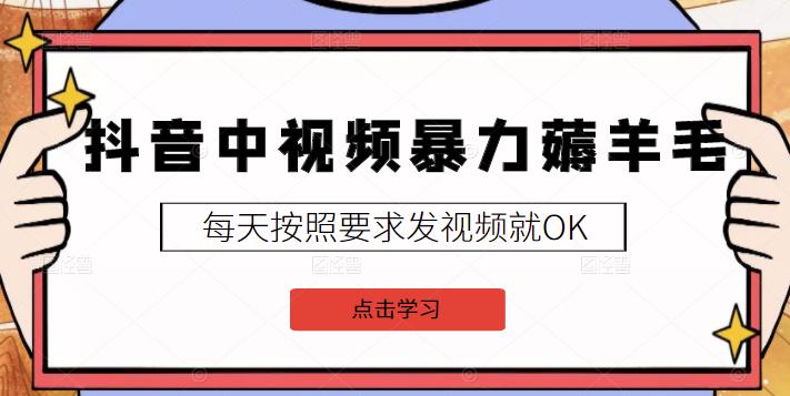 2022抖音中视频暴力薅羊毛白嫖项目：新号每天20块，老号几天几百块，可多号￼-秋鱼网创
