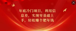 年底冷门项目，利用信息差，实现零基础上手，轻松赚个肥年钱【揭秘】-秋鱼网创
