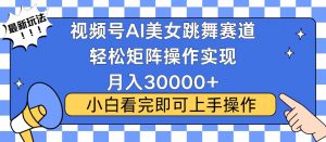 视频号蓝海赛道玩法，当天起号，拉爆流量收益，小白也能轻松月入30000+-秋鱼网创