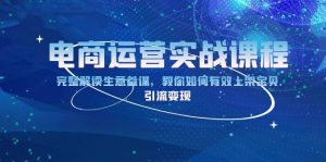电商运营实战课程：完整解读生意参谋，教你如何有效上架宝贝，引流变现-秋鱼网创