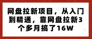 网盘拉新项目，从入门到精通，靠网盘拉新3个多月搞了16W-秋鱼网创