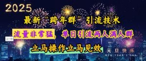 最新“跨年群”引流,流量非常猛,单日引流两人满人群,立马操作立马见效【揭秘】-秋鱼网创