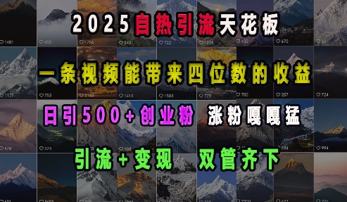 2025自热引流天花板,一条视频能带来四位数的收益,引流+变现双管齐下,日引500+创业粉,涨粉嘎嘎猛-秋鱼网创