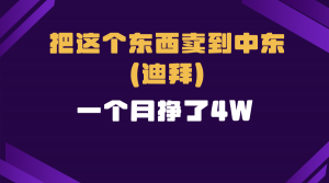 跨境电商一个人在家把货卖到迪拜，暴力项目拆解-秋鱼网创