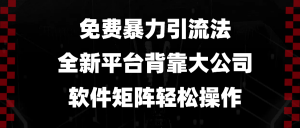 免费暴力引流法，全新平台，背靠大公司，软件矩阵轻松操作-秋鱼网创