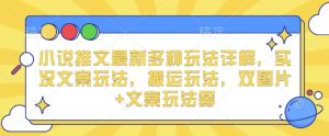 小说推文最新多种玩法详解，实况文案玩法，搬运玩法，双图片+文案玩法等-秋鱼网创