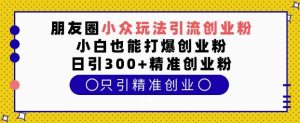 朋友圈小众玩法引流创业粉,小白也能打爆创业粉,日引300+精准创业粉【揭秘】-秋鱼网创