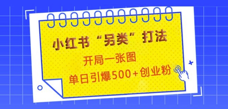 小红书“另类”打法,开局一张图,单日引爆500+精准创业粉【揭秘】-秋鱼网创