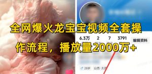 全网爆火龙宝宝视频全套操作流程,播放量2000万+-秋鱼网创