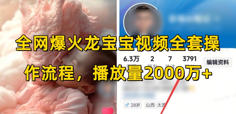 全网爆火龙宝宝视频全套操作流程,播放量2000万+-秋鱼网创
