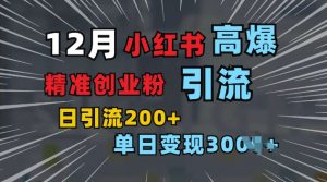 小红书一张图片“引爆”创业粉,单日+200+精准创业粉 可筛选付费意识创业粉【揭秘】-秋鱼网创