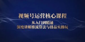 视频号运营核心课程，从入门到精通，深度讲解推流算法与排品实操玩-秋鱼网创