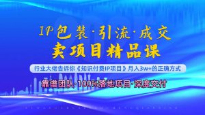 《IP包装·暴力引流·闪电成交卖项目精品课》如何在众多导师中脱颖而出?-秋鱼网创