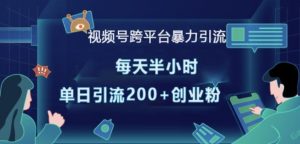 视频号跨平台暴力引流,每天半小时,单日引流200+精准创业粉-秋鱼网创