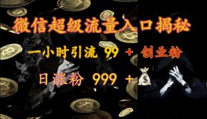 微信超级流量入口揭秘：一小时引流 99 + 创业粉，日涨粉 999 +-秋鱼网创