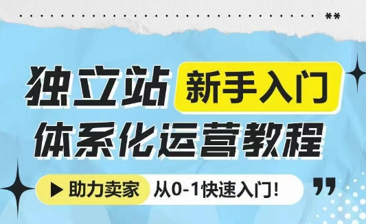 独立站新手入门体系化运营教程,助力独立站卖家从0-1快速入门!-秋鱼网创
