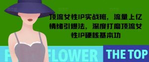顶流女性IP实战班,流量上亿情绪引爆法,深度打磨顶流女性IP硬核基本功-秋鱼网创