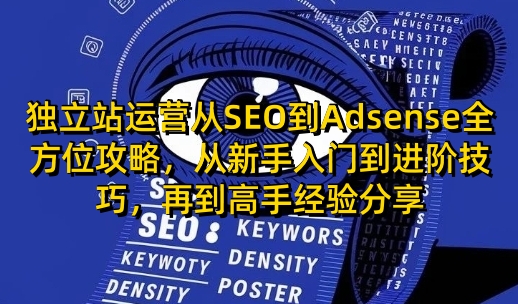 独立站运营从SEO到Adsense全方位攻略,从新手入门到进阶技巧,再到高手经验分享-秋鱼网创