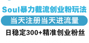 Soul暴力截流创业粉玩法，当天注册当天进流量，日稳定300+精准创业粉丝-秋鱼网创