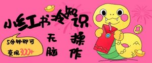 小红书冷知识账号，无脑复制粘贴，5分钟即可变现3张-秋鱼网创