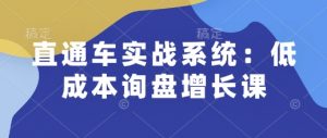 直通车实战系统:低成本询盘增长课,让个人通过技能实现升职加薪,让企业低成本获客,订单源源不断-秋鱼网创
