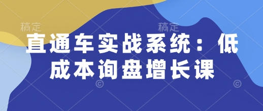 直通车实战系统:低成本询盘增长课,让个人通过技能实现升职加薪,让企业低成本获客,订单源源不断-秋鱼网创