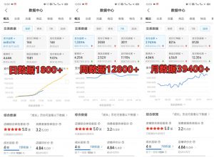 拼多多虚拟店铺项目，电脑挂机自动发货，单店日利润300+-秋鱼网创