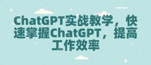 ChatGPT实战教学，快速掌握ChatGPT，提高工作效率-秋鱼网创