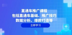 直通车推广课程：包括直通车基础、推广技巧、数据分析、爆款打造等-秋鱼网创