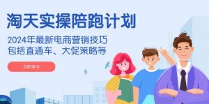 淘天实操陪跑计划,2024年最新电商营销技巧,包括直通车、大促策略等-秋鱼网创