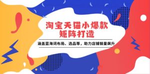 淘宝天猫小爆款矩阵打造:涵盖蓝海词布局、选品等,助力店铺销量飙升-秋鱼网创