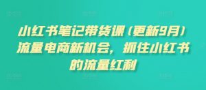 小红书笔记带货课(更新25年1月)流量电商新机会，抓住小红书的流量红利-秋鱼网创
