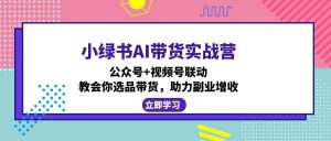 小绿书AI带货实战营：公众号+视频号联动，教会你选品带货，助力副业增收-秋鱼网创