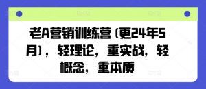 老A营销训练营(更25年1月)，轻理论，重实战，轻概念，重本质-秋鱼网创