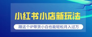 小红书小店新玩法,蹭这个IP带货,小白也能轻松月入过W【揭秘】-秋鱼网创