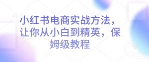 小红书电商实战方法,让你从小白到精英,保姆级教程-秋鱼网创