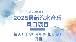 2025最新汽水音乐躺赚项目 每天几分钟 日入1000＋-秋鱼网创