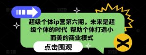 超级个体ip营第六期,未来是超级个体的时代 帮助个体打造小而美的商业模式-秋鱼网创