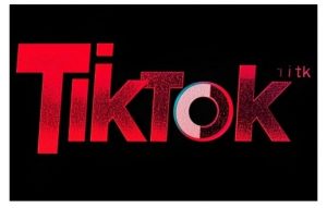 TikTok ads投流秘籍,涵盖tiktok整体投放思路,教你搭建测试计划-秋鱼网创