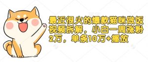 最近很火的爆款猫咪做饭视频拆解，小白一周涨粉2万，单条10万+播放(附保姆级教程)-秋鱼网创