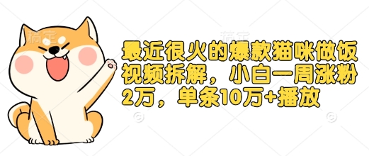 最近很火的爆款猫咪做饭视频拆解，小白一周涨粉2万，单条10万+播放(附保姆级教程)-秋鱼网创