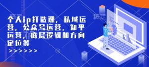 个人ip打造课，私域运营，公众号运营，知乎运营，底层逻辑和方向定位等-秋鱼网创