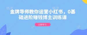 金牌导师教你运营小红书，0基础进阶赚钱博主训练课-秋鱼网创