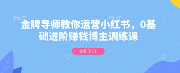 金牌导师教你运营小红书,0基础进阶赚钱博主训练课-秋鱼网创