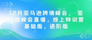 12月亚马逊跨境峰会， 亚马逊峰会直播，线上特训营基础版，进阶版-秋鱼网创