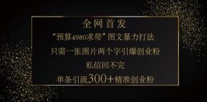 小红书神奇图片引流法，只需一张图，就能单条笔记凭借此方法，轻松引流 300 + 精准创业粉-秋鱼网创