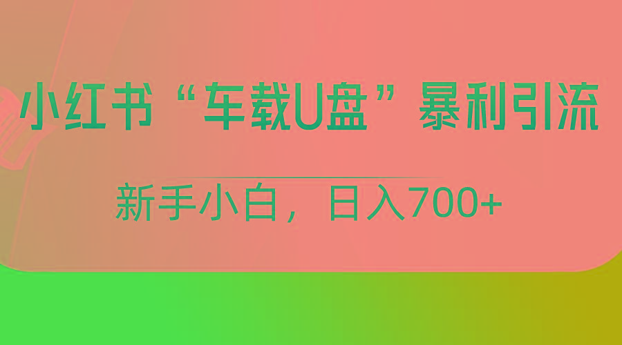 小红书“车载U盘”项目,暴利引流,新手小白轻松日入700+-秋鱼网创
