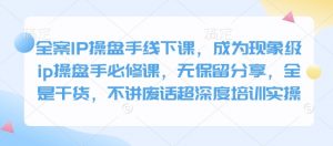 全案IP操盘手线下课，成为现象级ip操盘手必修课，无保留分享，全是干货，不讲废话超深度培训实操-秋鱼网创