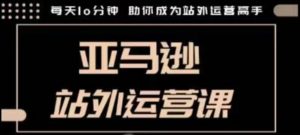 聪明的跨境人都在学的亚马逊站外运营课,每天10分钟,手把手教你成为站外运营高手-秋鱼网创