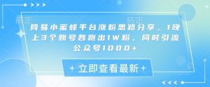 网易小蜜蜂平台涨粉思路分享，1晚上3个账号各跑出1W粉，同时引流公众号1000+-秋鱼网创